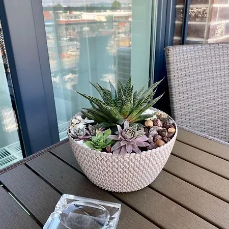 Oase - Luxurious Near The Center With Free Parking 公寓 *